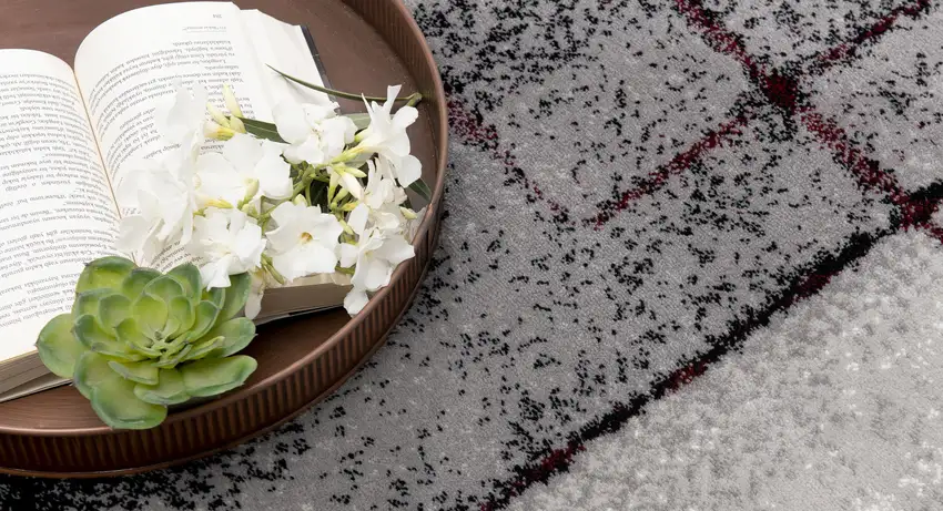 Gray and Red Abstract Distressed Area Rug Photo 8