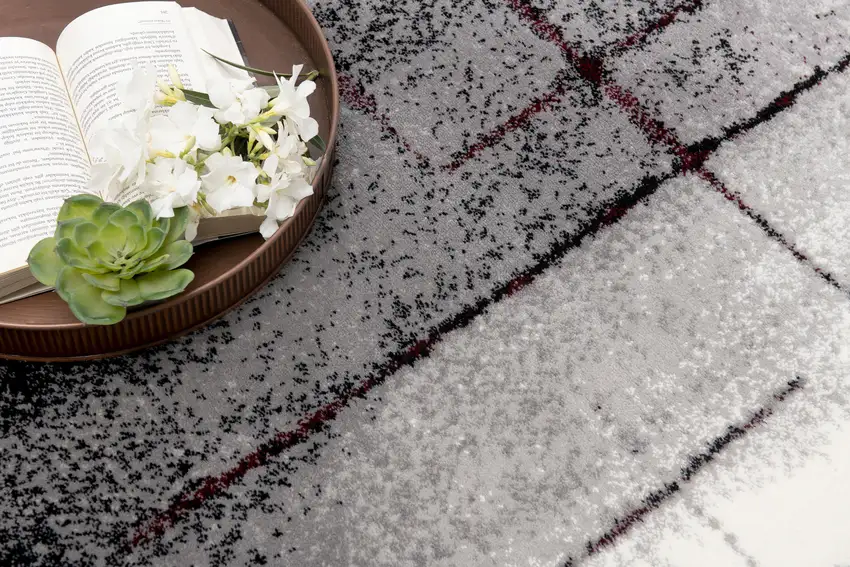 Gray and Red Abstract Distressed Area Rug Photo 5