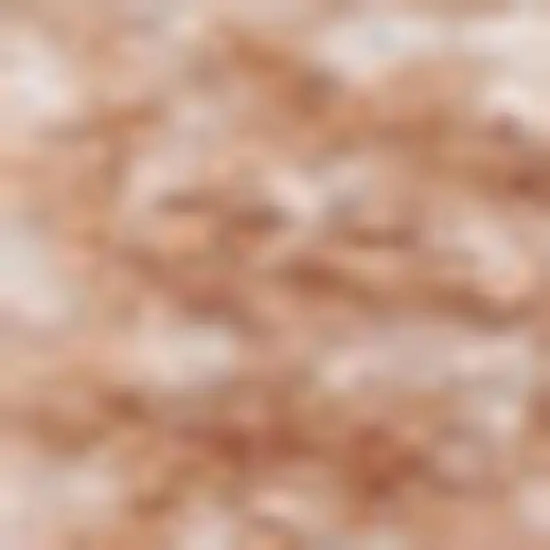 Gray and Red Oriental Power Loom Area Rug Photo 1