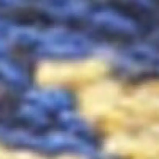 Gray and Red Southwestern Handmade Area Rug With Fringe Photo 3