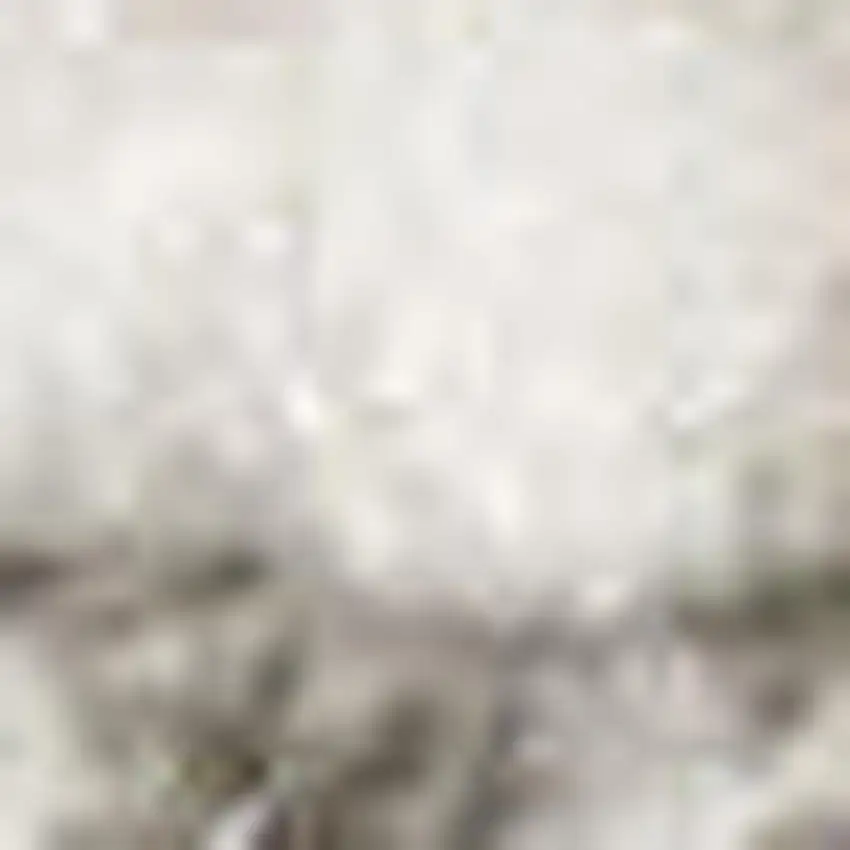 Gray And Silver Abstract Area Rug Photo 4