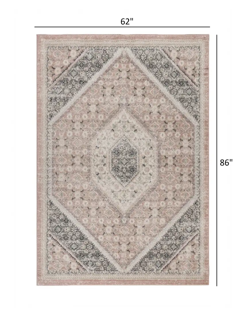 Gray and Soft Pink Traditional Area Rug Photo 7