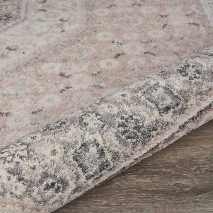 Gray and Soft Pink Traditional Area Rug Photo 5
