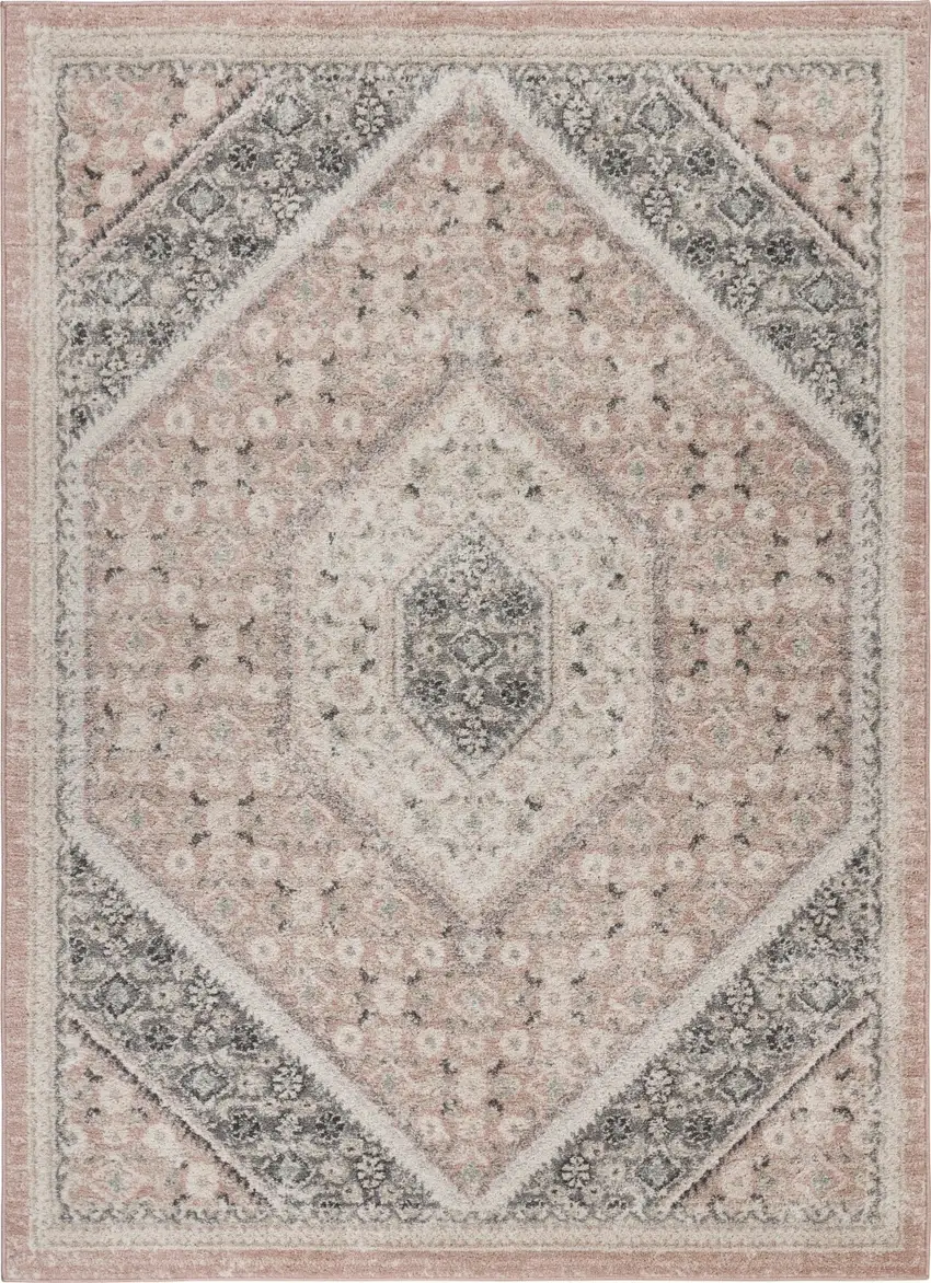 Gray and Soft Pink Traditional Area Rug Photo 1