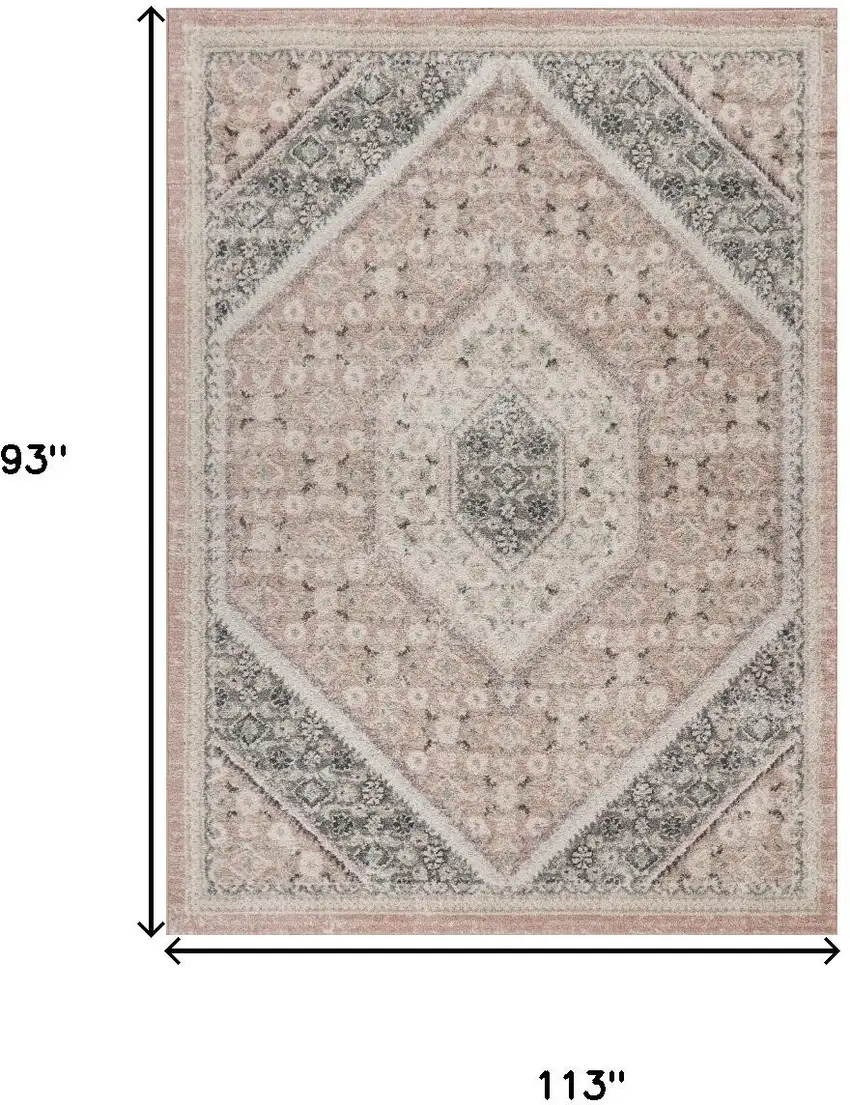 Gray and Soft Pink Traditional Area Rug Photo 3