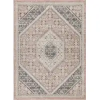 Photo of Gray and Soft Pink Traditional Area Rug