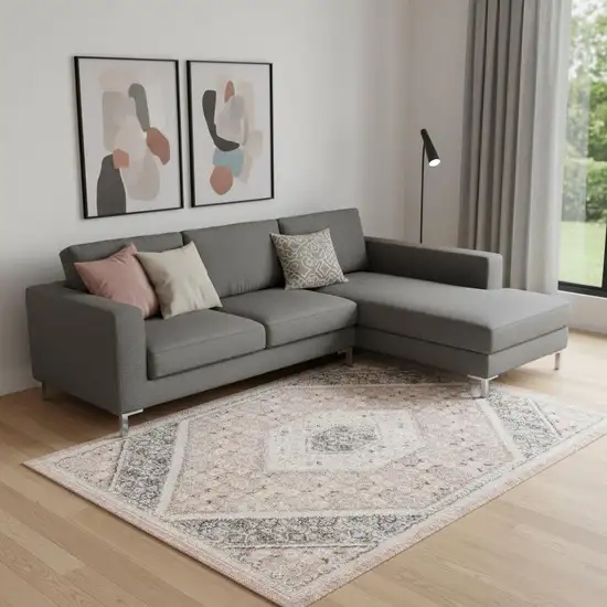 Gray and Soft Pink Traditional Area Rug Photo 1