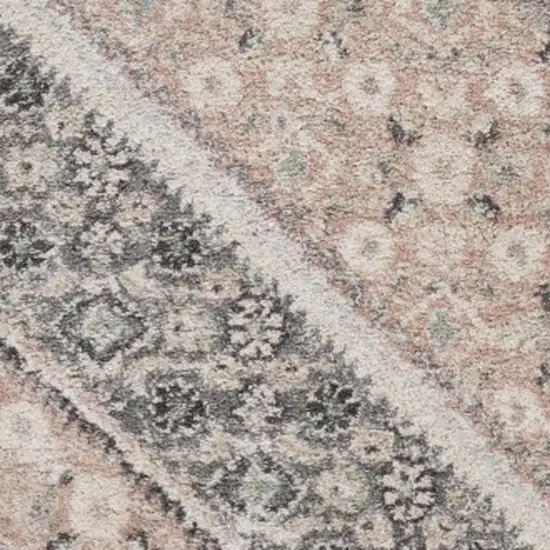 Gray and Soft Pink Traditional Area Rug Photo 7
