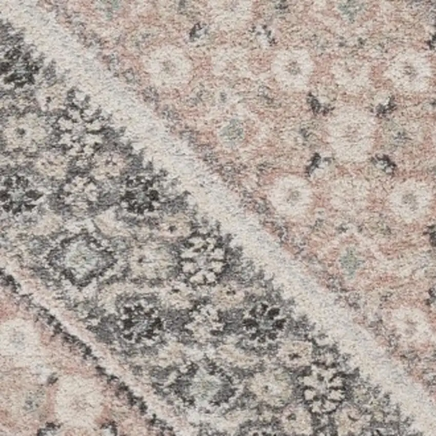 Gray and Soft Pink Traditional Area Rug Photo 7
