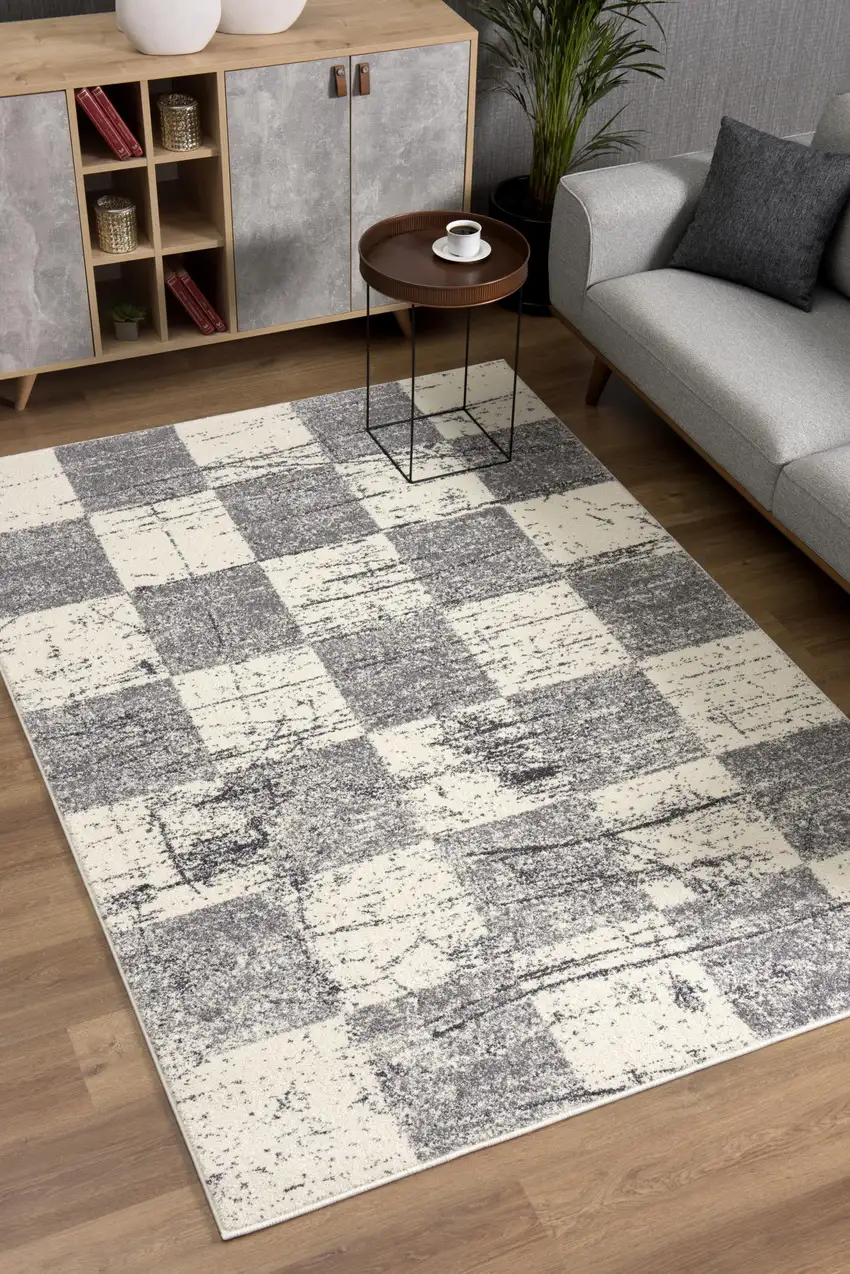Gray and White Checkered Power Loom Distressed Area Rug Photo 6