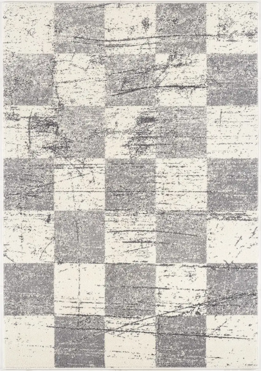 Gray and White Checkered Power Loom Distressed Area Rug Photo 4
