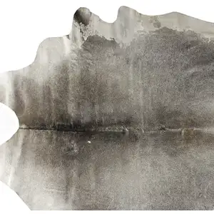 Photo of Gray and White Cowhide Hand Knotted Area Rug