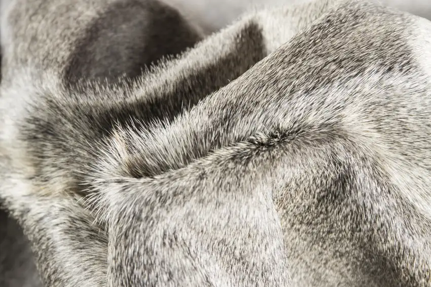 Gray and White Cowhide Hand Knotted Area Rug Photo 3