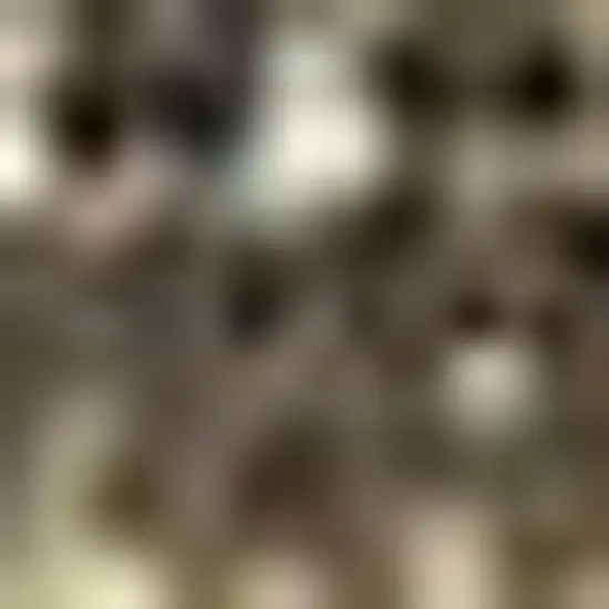 Green Abstract Area Rug Photo 2