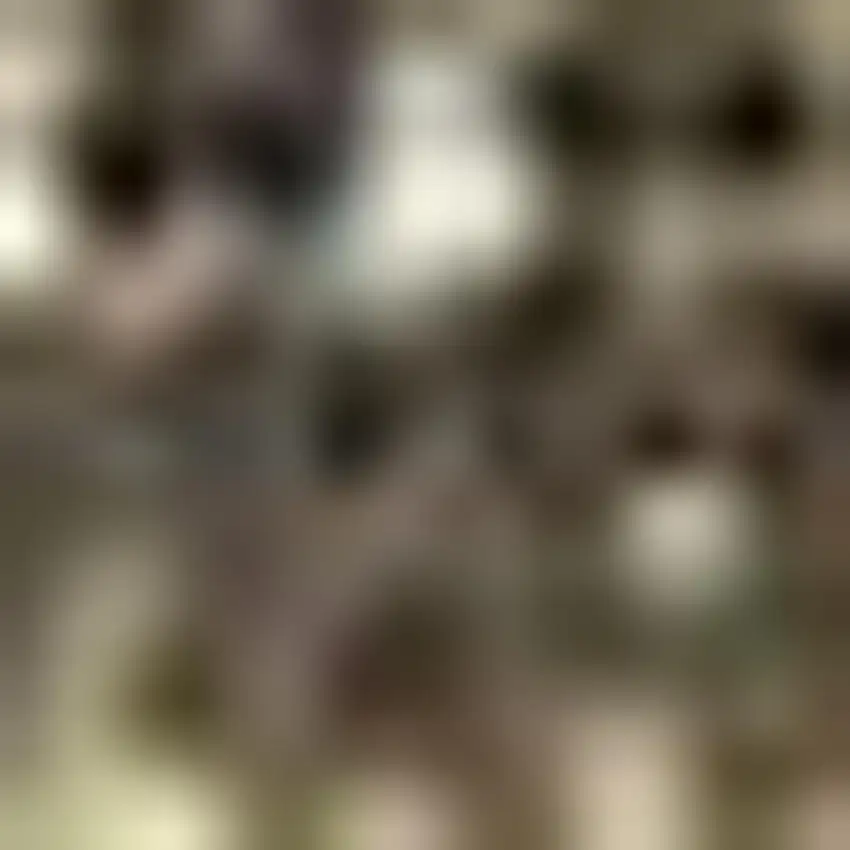 Green Abstract Area Rug Photo 2