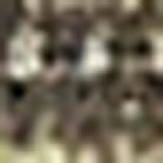 Green Abstract Area Rug Photo 3