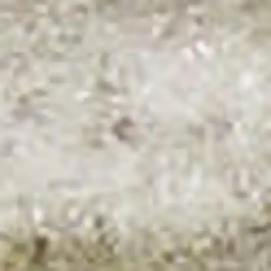 Green Abstract Power Loom Area Rug Photo 3