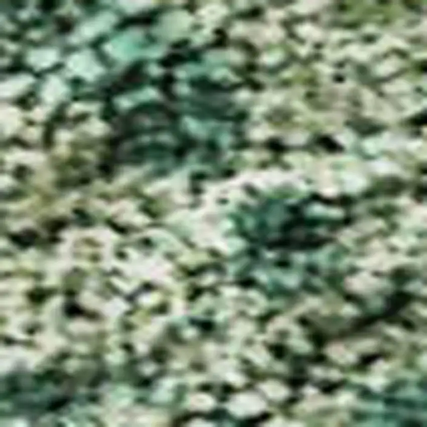 Green And Beige Abstract Washable Area Rug With UV Protection Photo 2