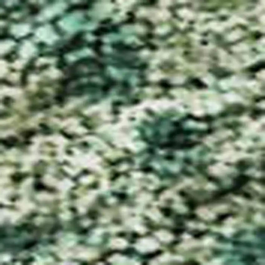 Green And Beige Abstract Washable Area Rug With UV Protection Photo 2