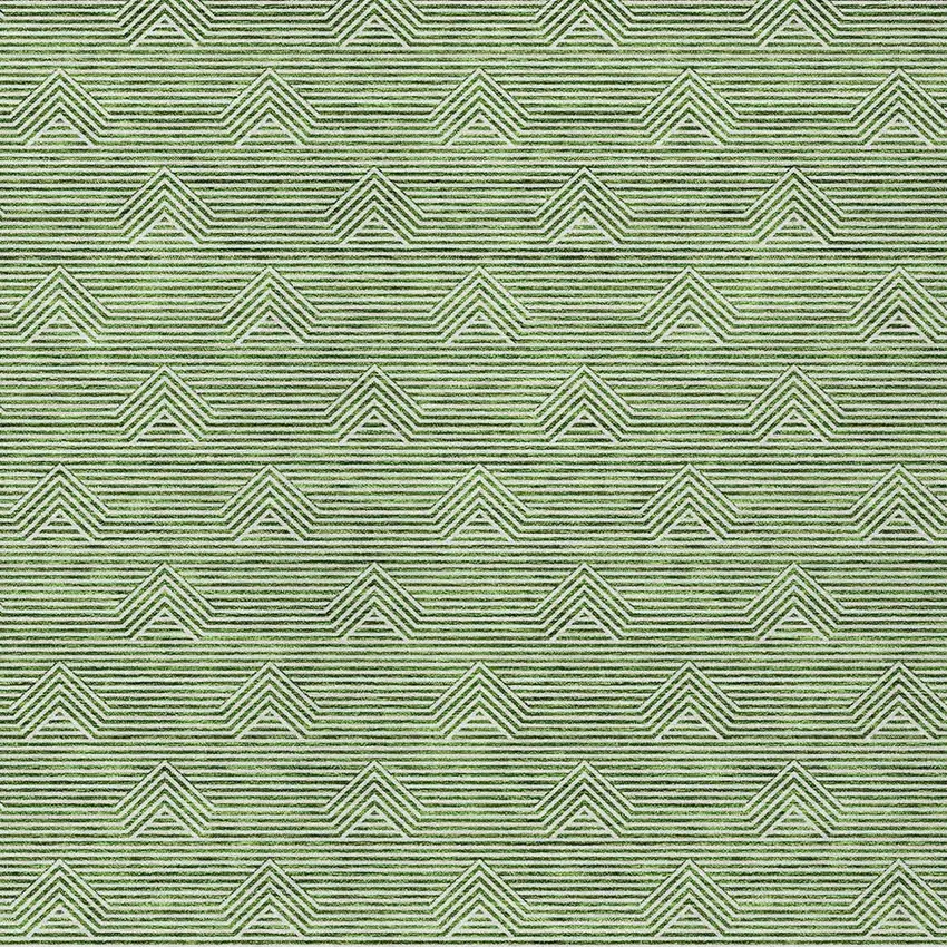 Green And Beige Geometric Washable Indoor Outdoor Area Rug Photo 6