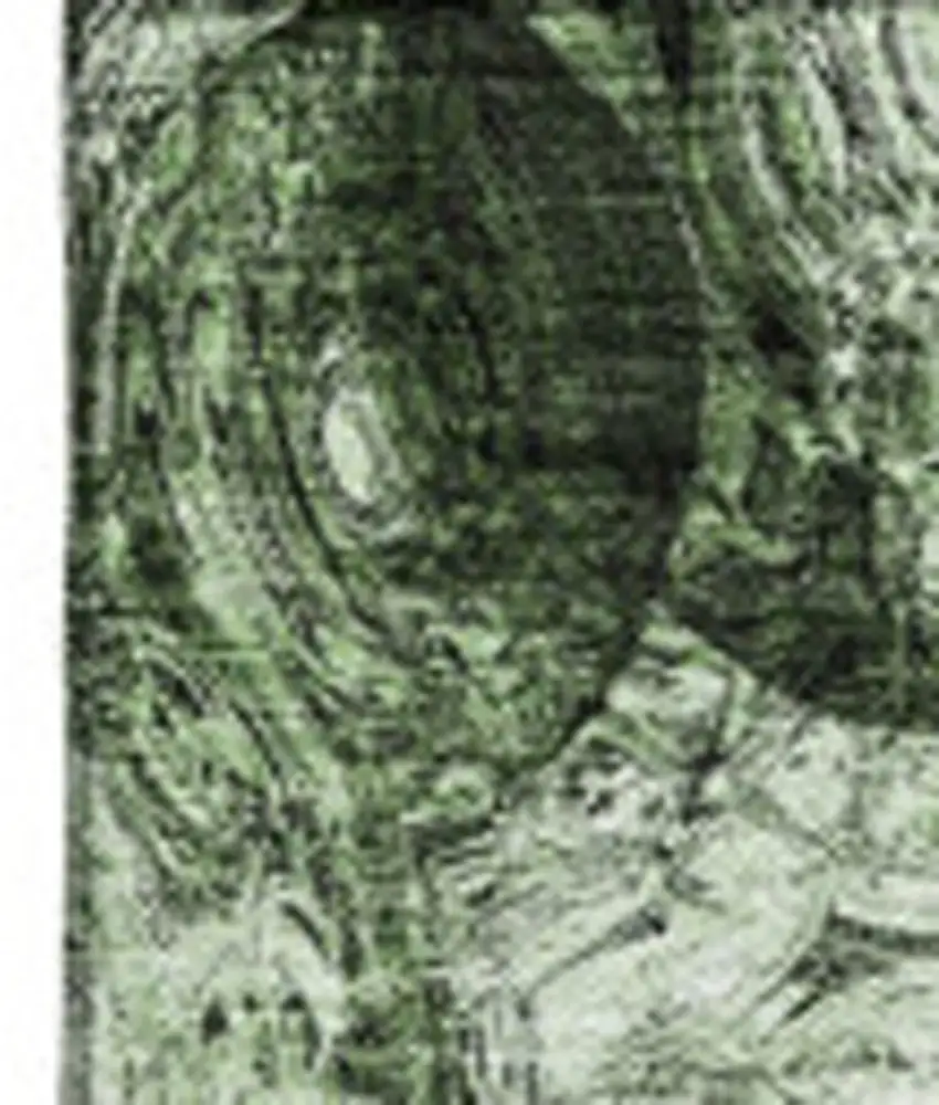 Green And Charcoal Abstract Washable Area Rug With UV Protection Photo 5