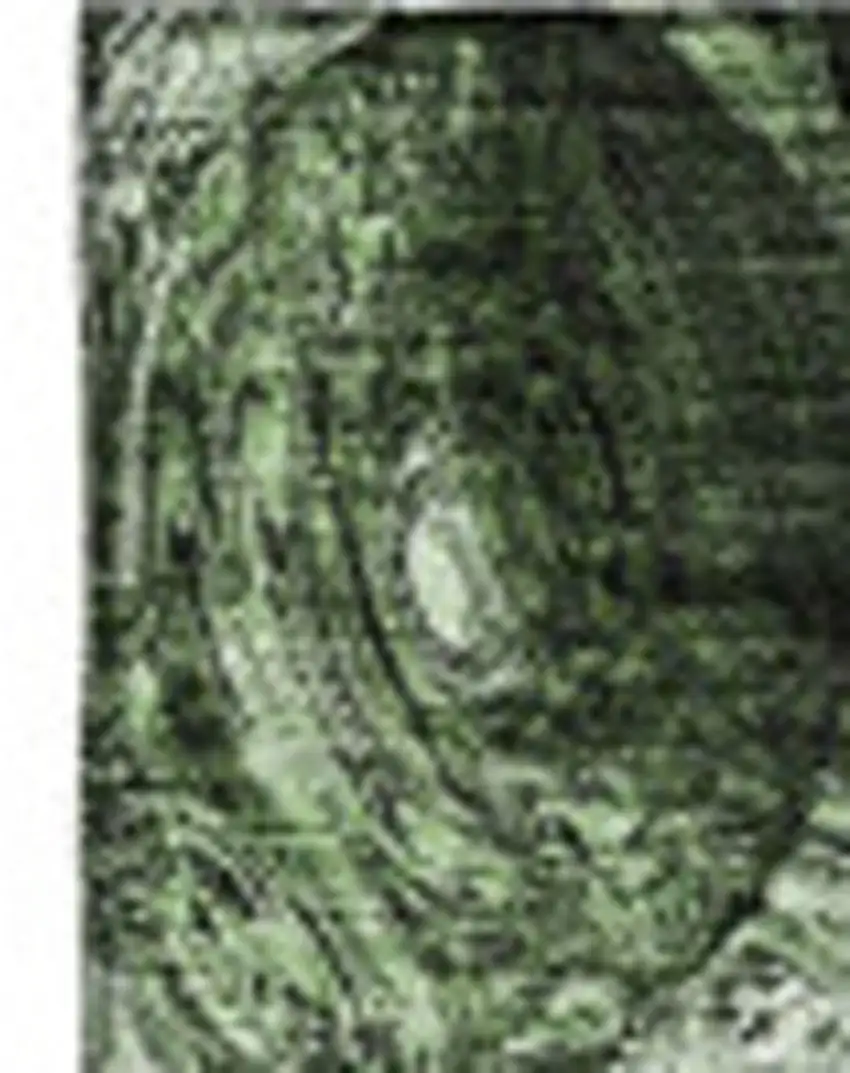 Green And Charcoal Abstract Washable Area Rug With UV Protection Photo 4