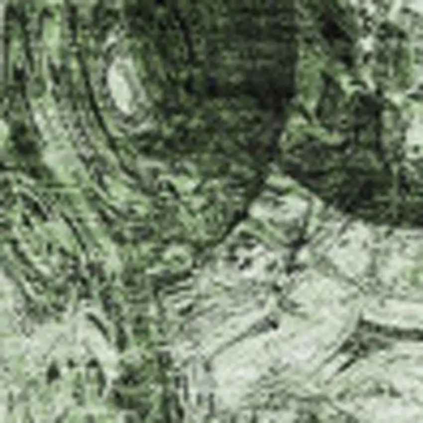 Green And Charcoal Abstract Washable Area Rug With UV Protection Photo 3