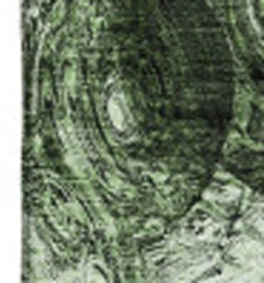 Green And Charcoal Abstract Washable Area Rug With UV Protection Photo 3