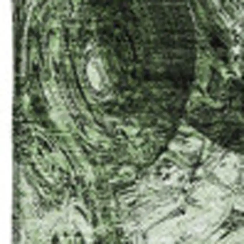 Green And Charcoal Abstract Washable Area Rug With UV Protection Photo 4