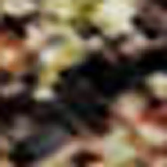 Green And Copper Floral Medallion Washable Area Rug With UV Protection Photo 4