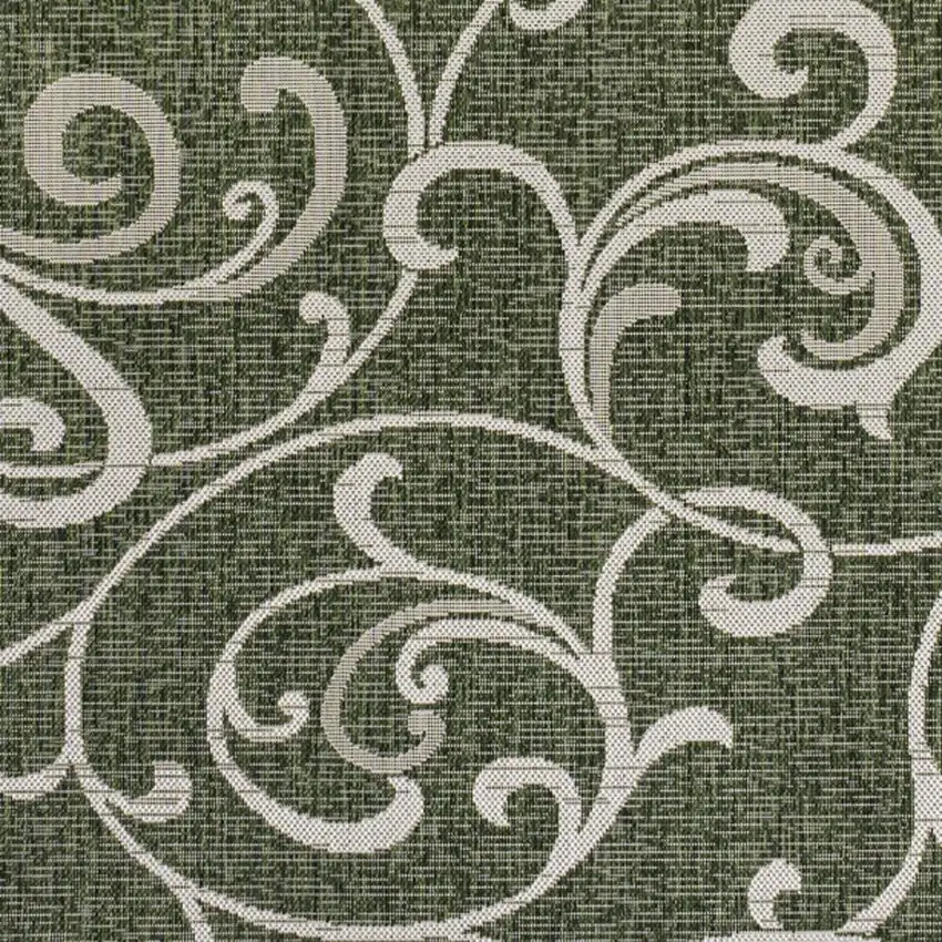 Green And Cream Floral Indoor Outdoor Area Rug Photo 2