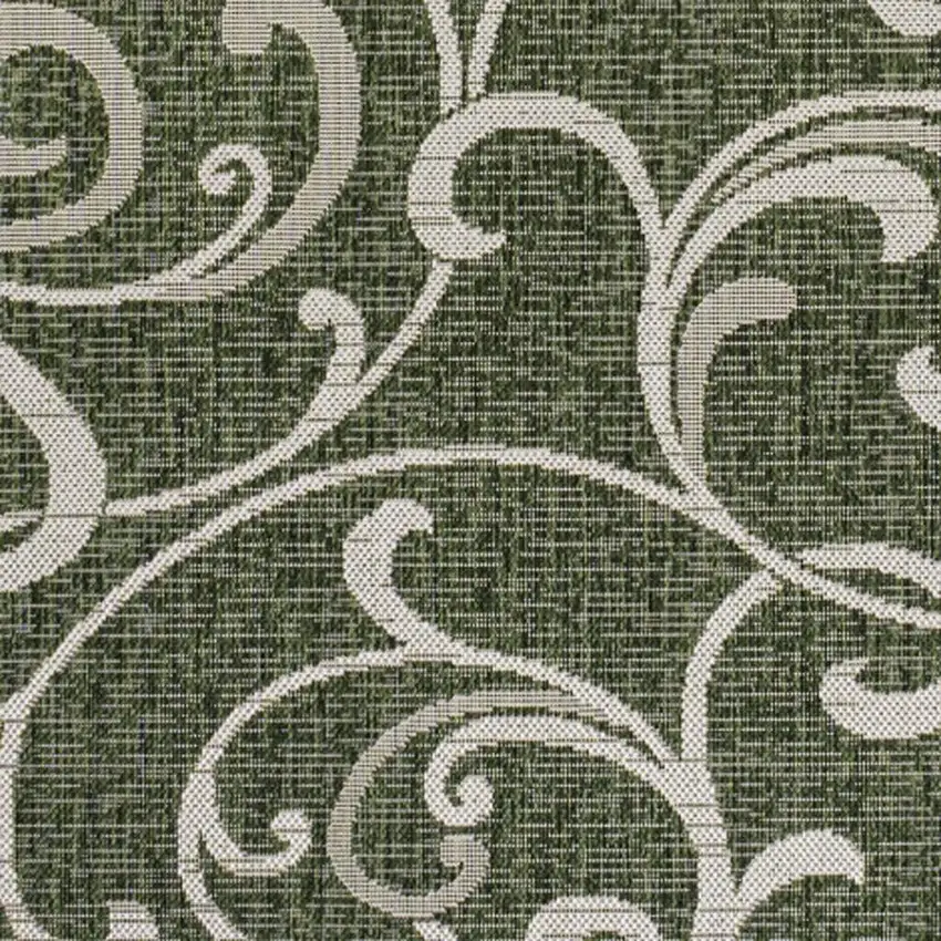 Green And Cream Floral Indoor Outdoor Area Rug Photo 2