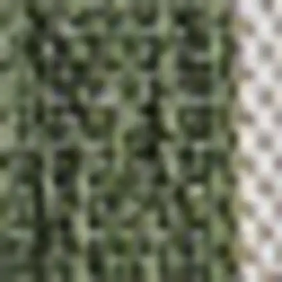 Green And Cream Geometric Indoor Outdoor Area Rug Photo 2