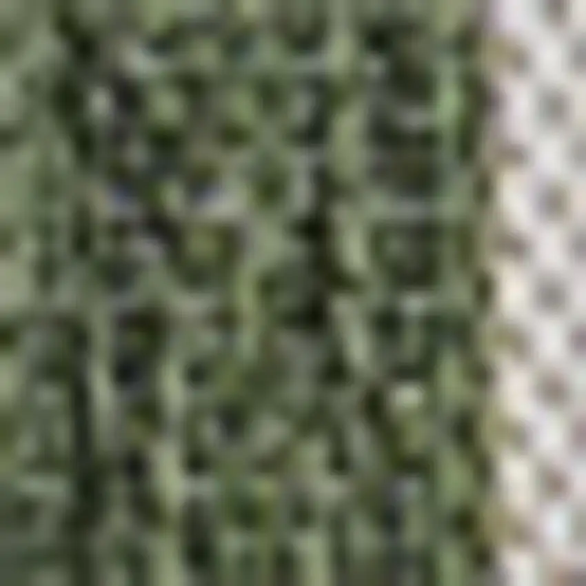 Green And Cream Geometric Indoor Outdoor Area Rug Photo 2