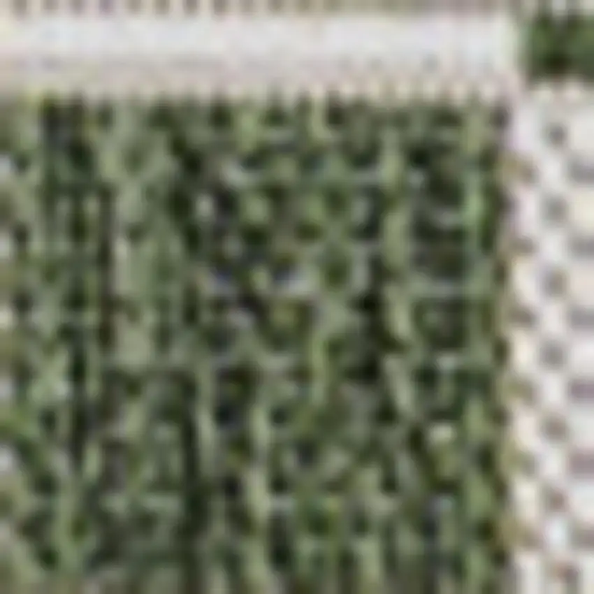 Green And Cream Geometric Indoor Outdoor Area Rug Photo 3