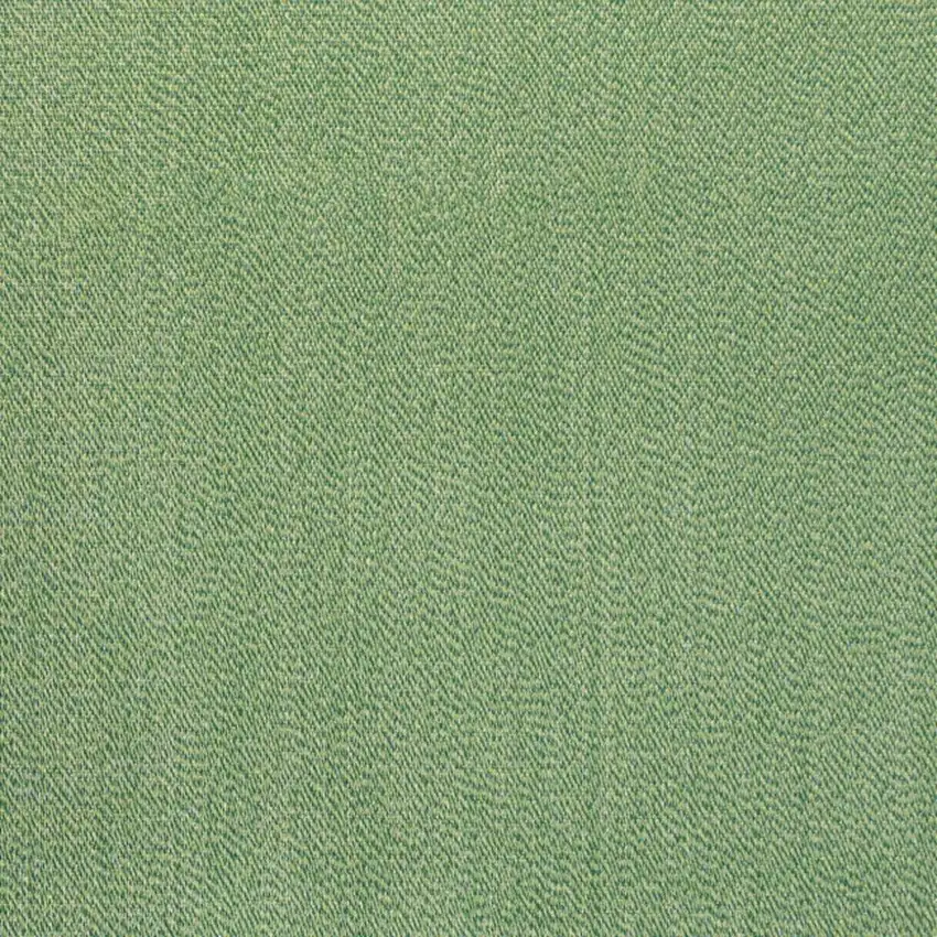 Green And Cream Indoor Outdoor Area Rug Photo 2