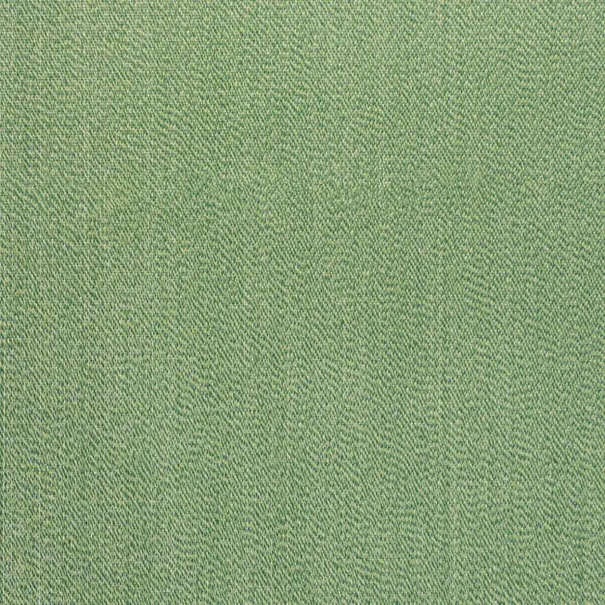 Green And Cream Indoor Outdoor Area Rug Photo 2
