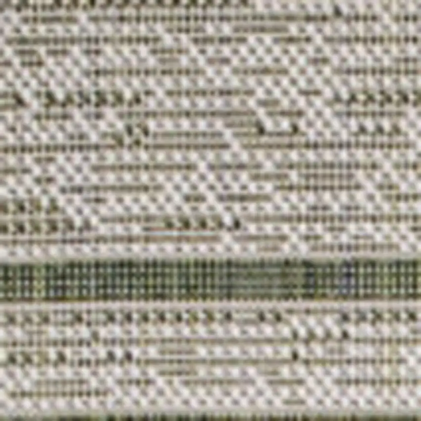 Green And Cream Indoor Outdoor Area Rug Photo 2
