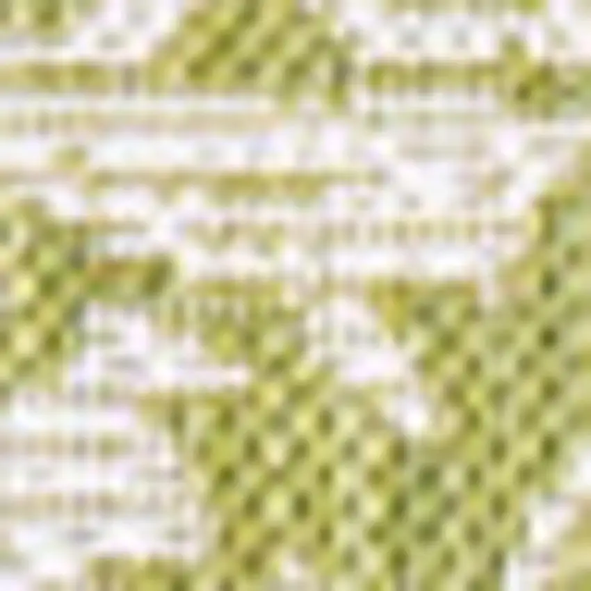 Green And Cream Medallion Indoor Outdoor Area Rug Photo 2