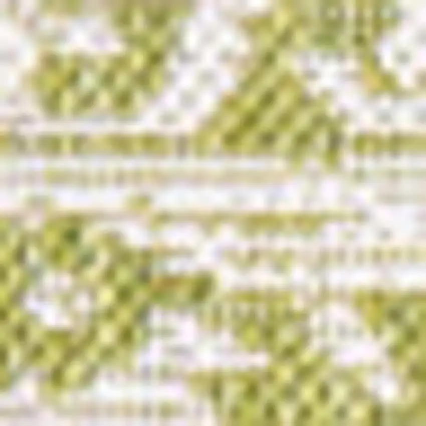 Green And Cream Medallion Indoor Outdoor Area Rug Photo 2