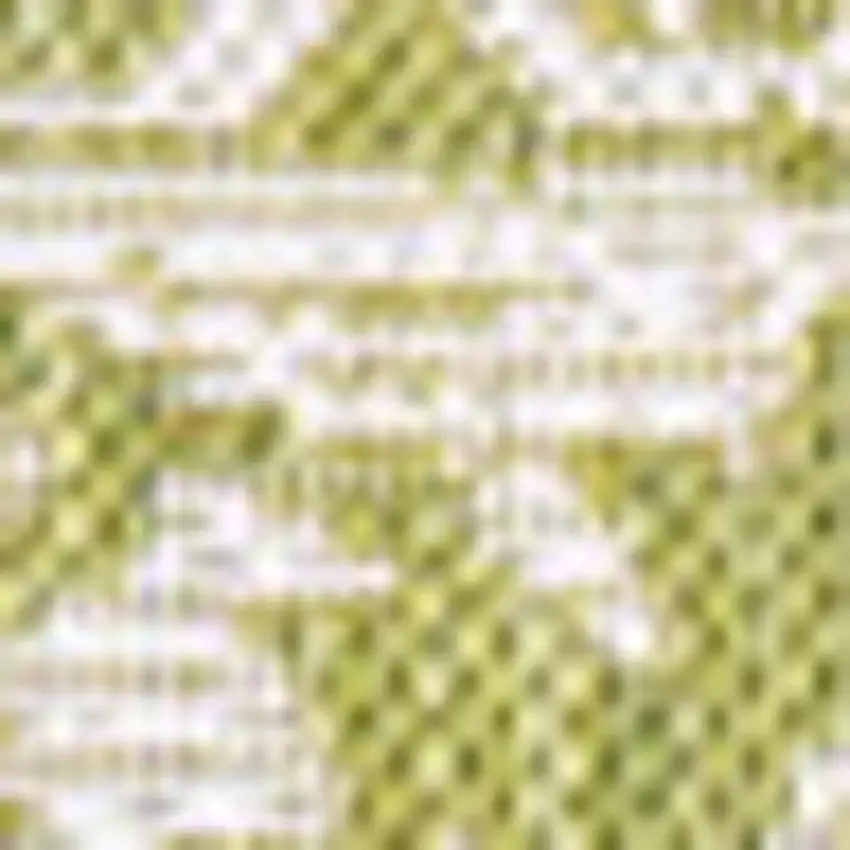 Green And Cream Medallion Indoor Outdoor Area Rug Photo 2