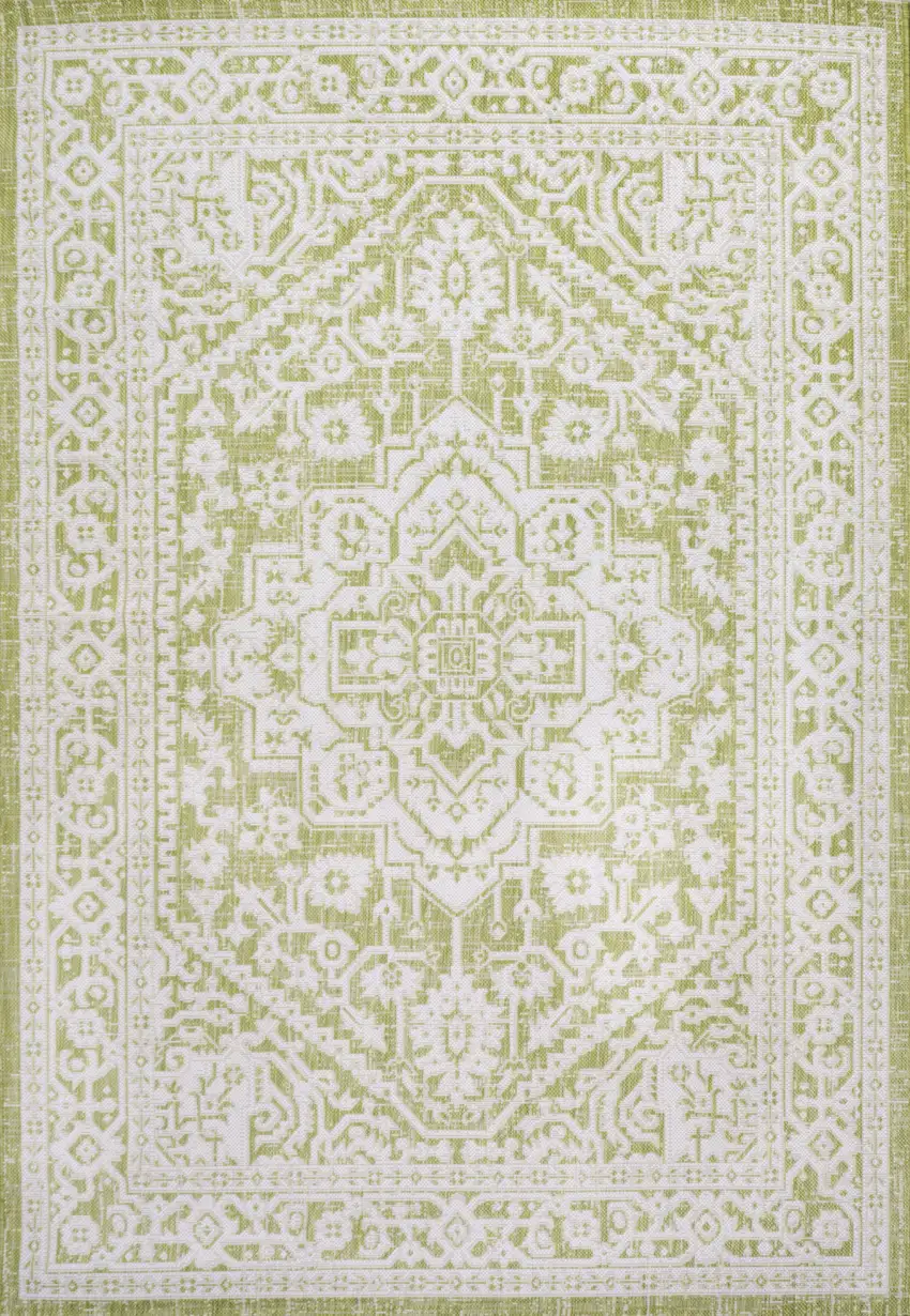 Green And Cream Medallion Indoor Outdoor Area Rug Photo 3