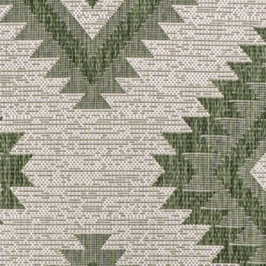 Green And Cream Moroccan Indoor Outdoor Area Rug Photo 2
