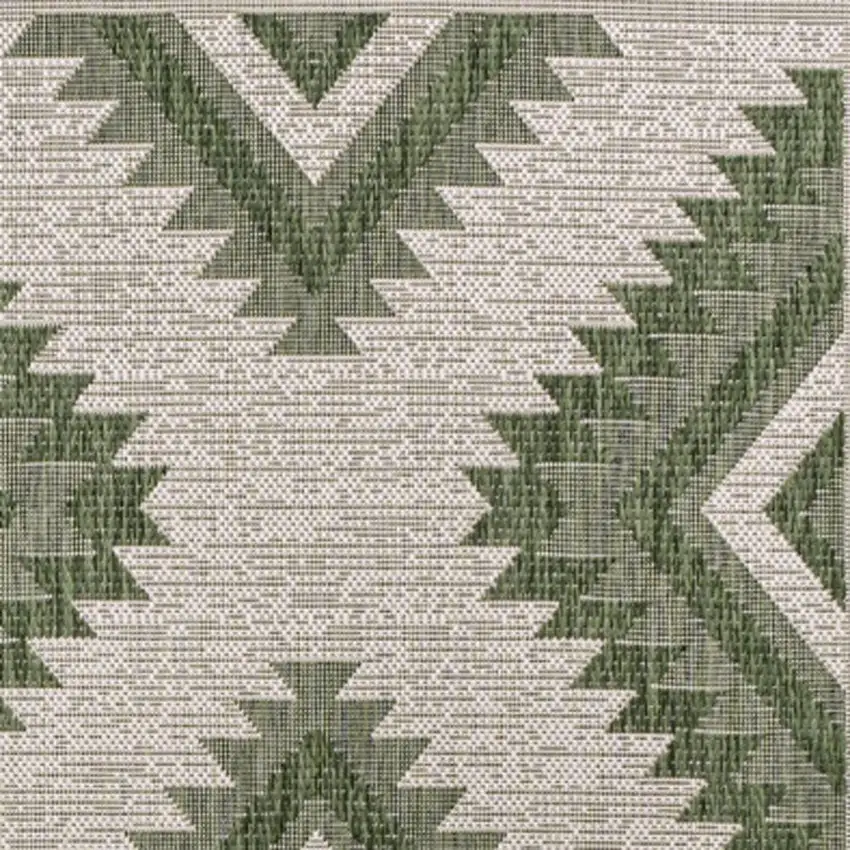 Green And Cream Moroccan Indoor Outdoor Area Rug Photo 3