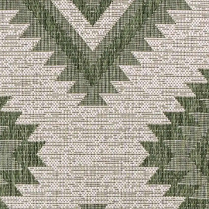 Green And Cream Moroccan Indoor Outdoor Area Rug Photo 2