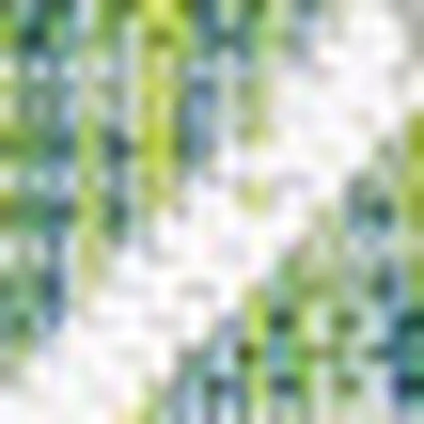 Green And Cream Trellis Indoor Outdoor Area Rug Photo 2