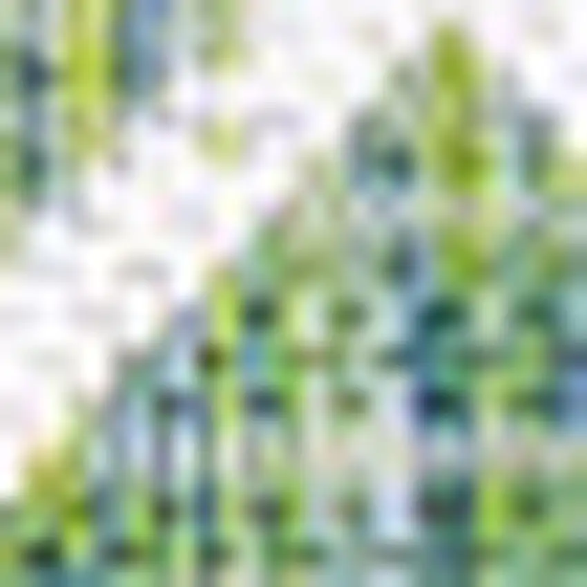 Green And Cream Trellis Indoor Outdoor Area Rug Photo 2