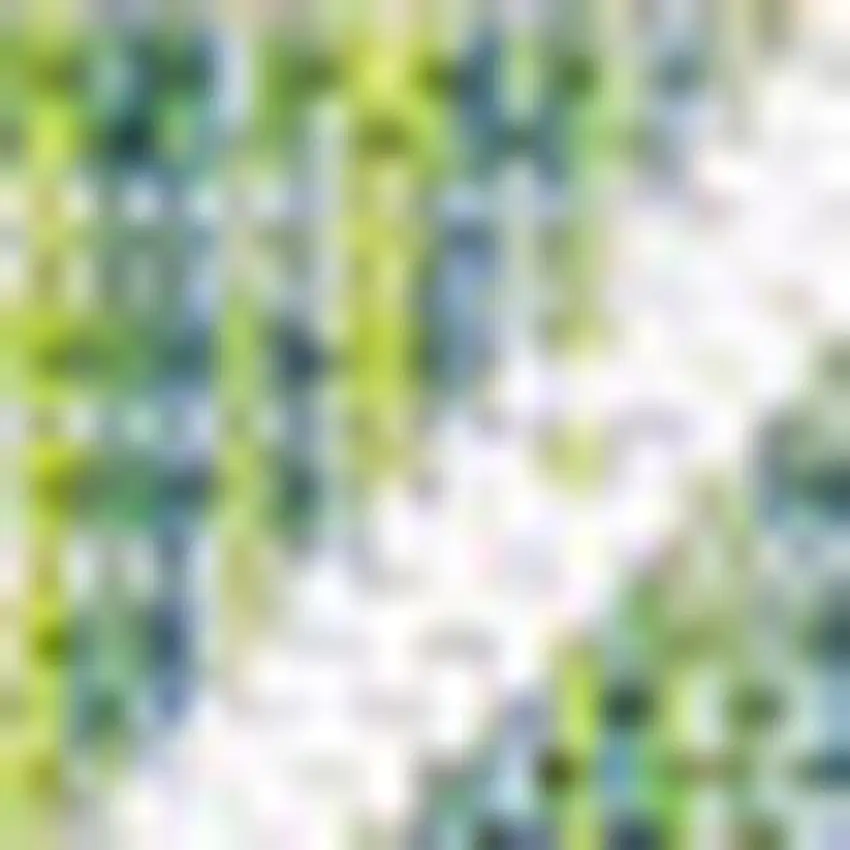 Green And Cream Trellis Indoor Outdoor Area Rug Photo 2