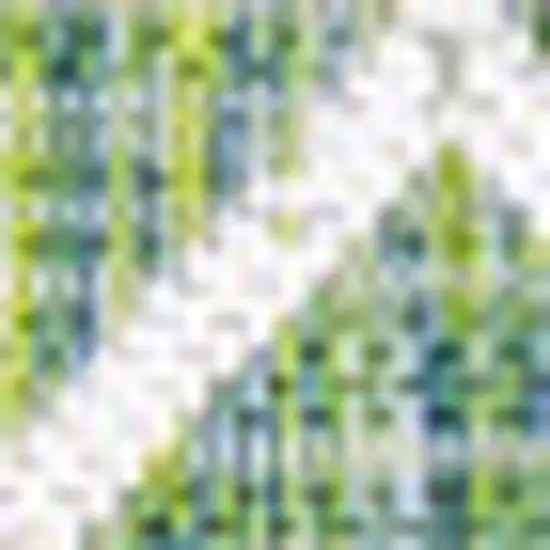 Green And Cream Trellis Indoor Outdoor Area Rug Photo 3