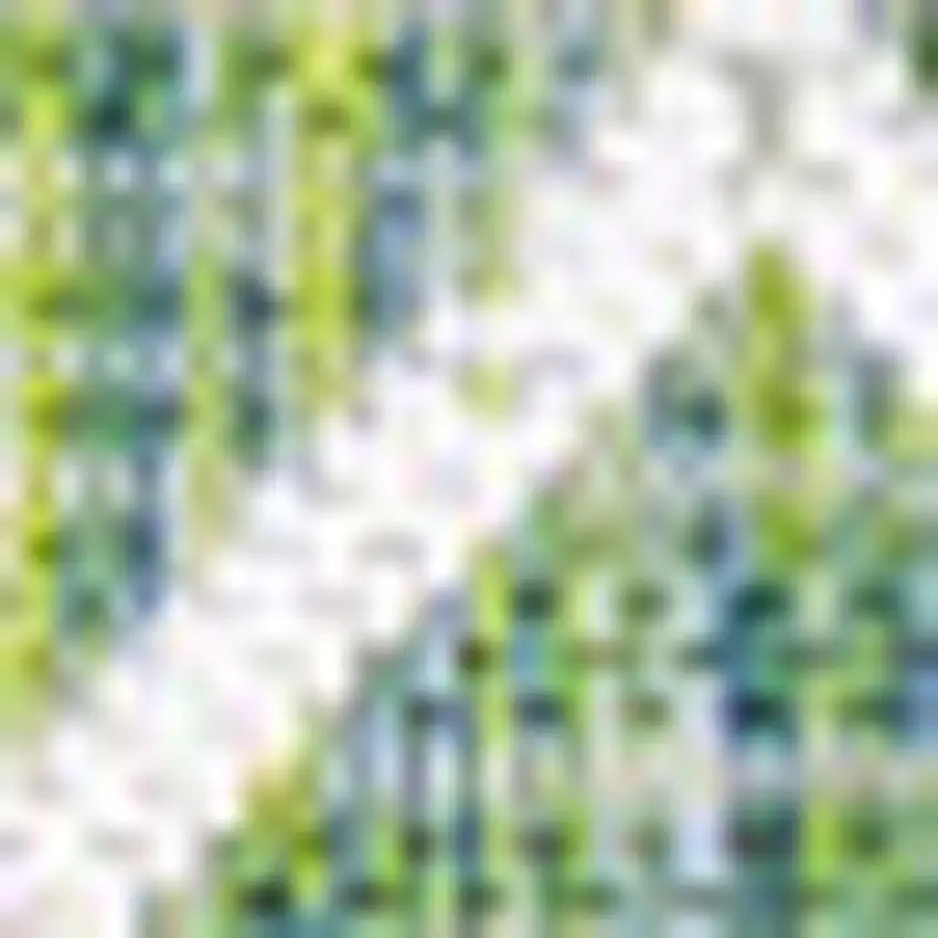 Green And Cream Trellis Indoor Outdoor Area Rug Photo 3